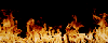 fire-2.gif